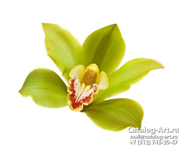 Натяжные потолки с фотопечатью - Желтые и бежевые орхидеи 18